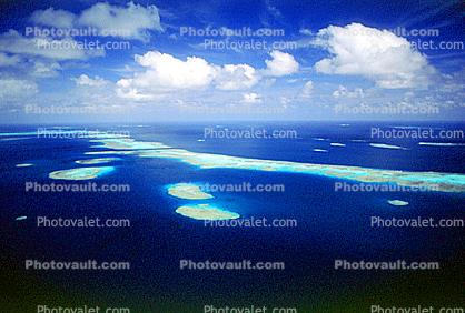 Barrier Reef, Coral, Island, Forest, Trees, Pacific Ocean
