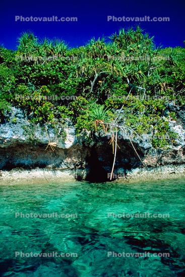 Tropical forest, Island, Coral Reef, Pacific Ocean