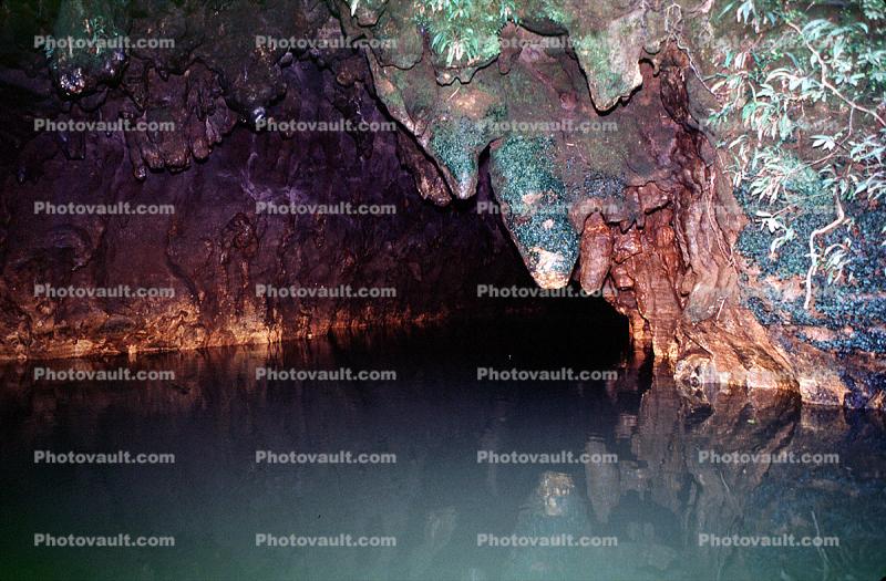 Water Cave Entrance, underground, cavern, fairy tale land, Rotorua