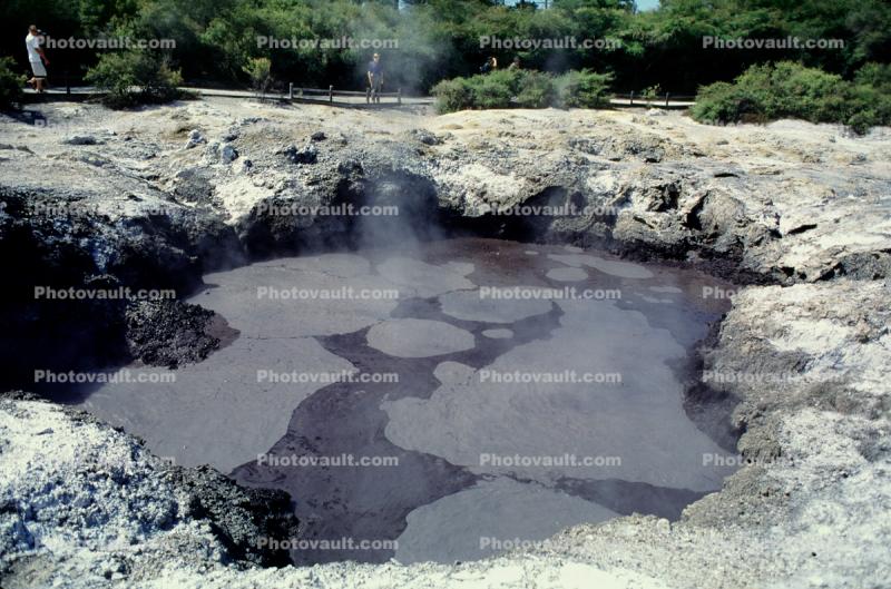 Mud Pool, Geothermal Feature, Rotorua