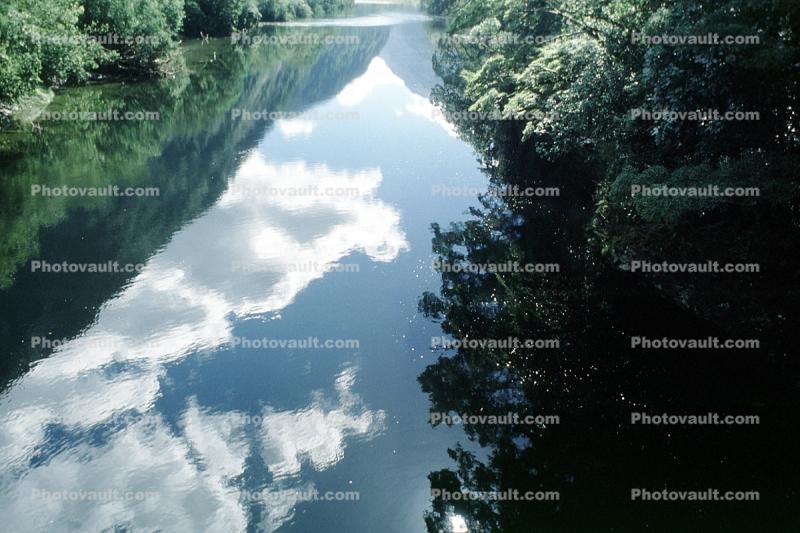 Water Reflection, trees, river