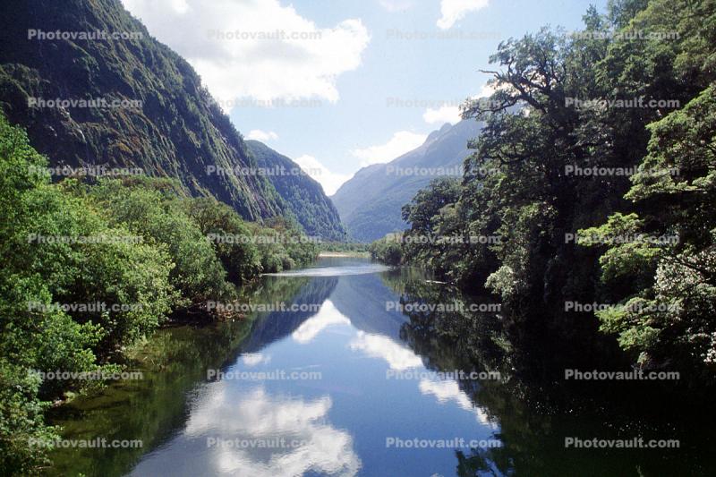 Water Reflection, trees, river