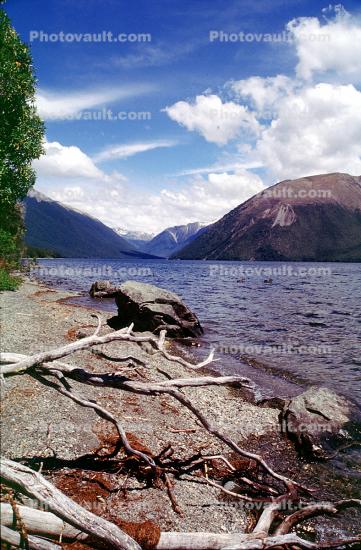 Nelson Lake, New Zealand, water