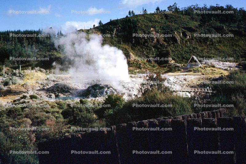 Geyser, Heat, Geothermal Feature, Rotorua