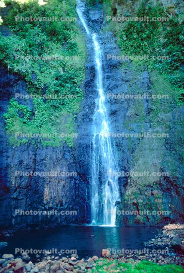 Waterfall, Rain Forest, Island of Tahiti