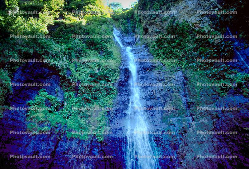 Waterfall, Rain Forest, Island of Tahiti