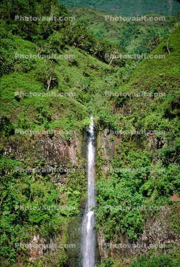 Island of Tahiti, Waterfall, Rain Forest