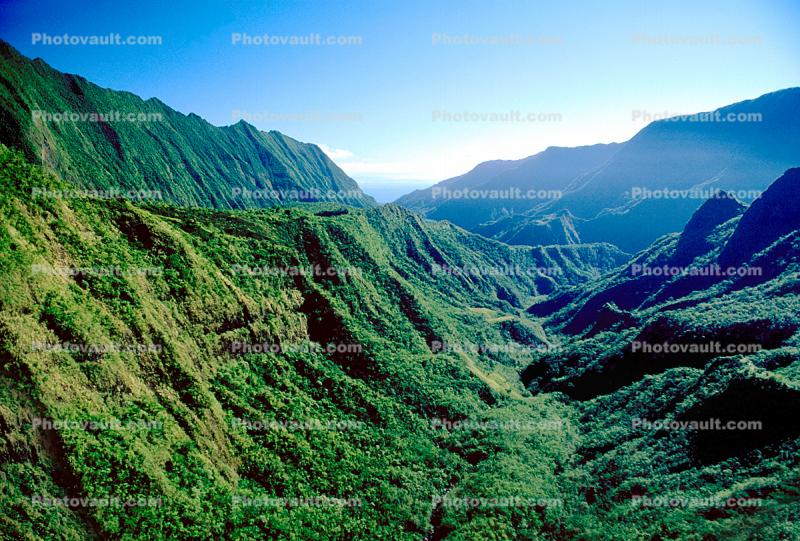 Valley, Mountains, Rain Forest, Island of Tahiti