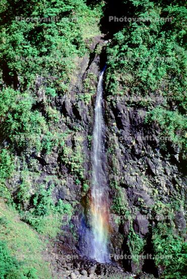 Island of Tahiti, Waterfall, Rain Forest