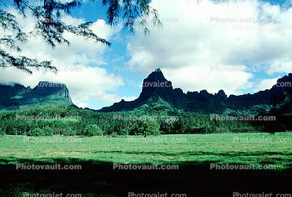 Mount Tohivea Island of Moorea