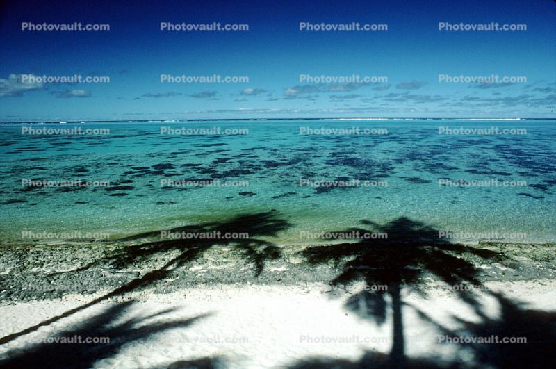 palm tree shadow, beach, Island of Moorea