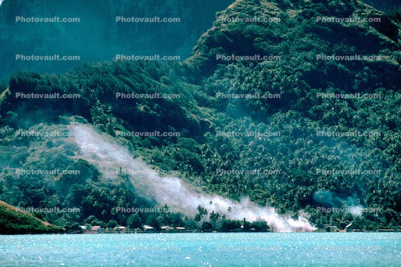 palm tree, smoke, fire, pollution, Island of Bora Bora