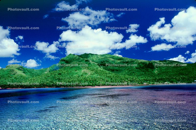 Green Hills, Rain Forest, Palm Trees, Island of Bora Bora