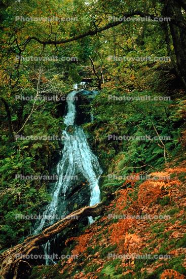 Dolgoch Falls, Talyllyn, Waterfall, Wales, autumn, 1950s