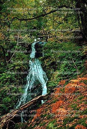Dolgoch Falls, Talyllyn, Forest, Woodlands, Mountain, Waterfall, Wales, autumn, 1950s