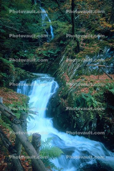 Dolgoch Falls, Talyllyn, Waterfall, Wales, 1950s