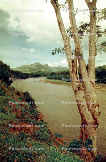 River, Mountains, Hills, Woodlands, Tree