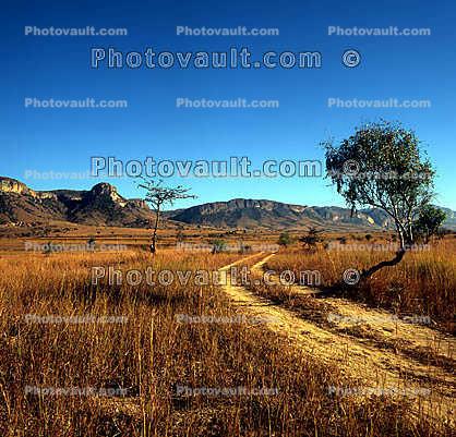 Dry Dirt Road, trees, hills, mountains