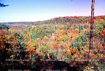 Hills, Mountains, fall colors, Autumn, Trees