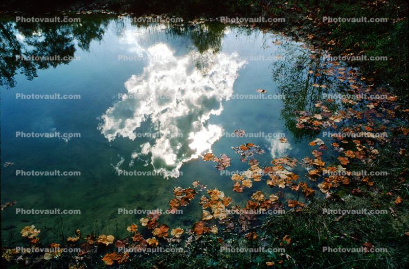 fall colors, Autumn, pond, water, reflection