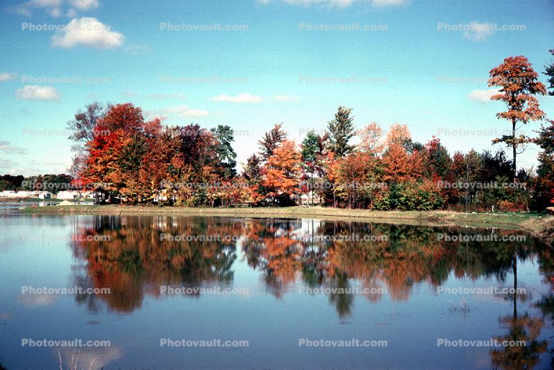Reflection, Lake, Fall colors, Autumn, Trees, Vegetation, Flora, Plants, Colorful, Woods, Forest, Exterior, Outdoors, Outside, Rural, peaceful, water