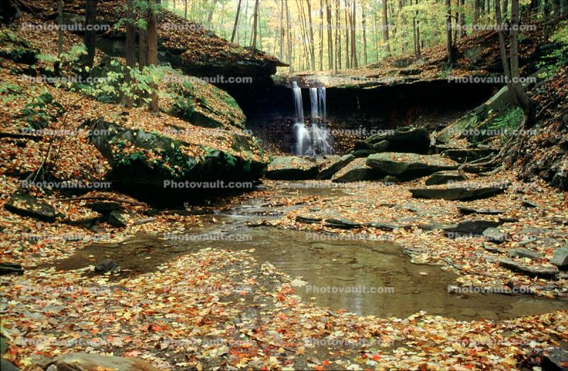 Waterfall, Stream, Leaves, Fall Colors, Autumn, Trees, Vegetation, Flora, Plants, Colorful, Beautiful, Magical, Woods, Forest, Exterior, Outdoors, Outside, Bucolic, Rural, peaceful, Equanimity