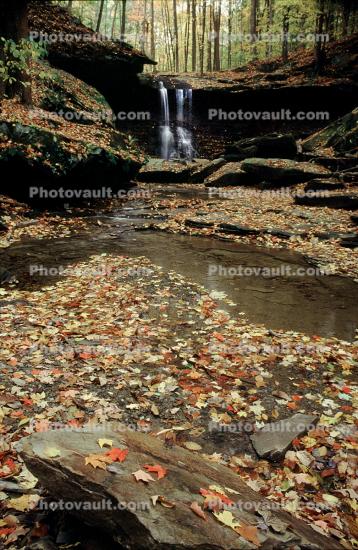 Waterfall, Stream, Leaves, autumn