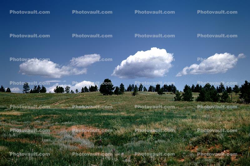 Clouds, Meadow, trees