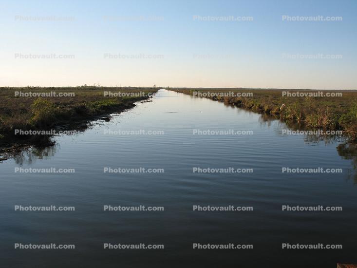 River Delta, wetland