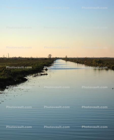 River Delta, wetland