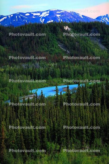 Mountain, Forest, Woodland, trees, river