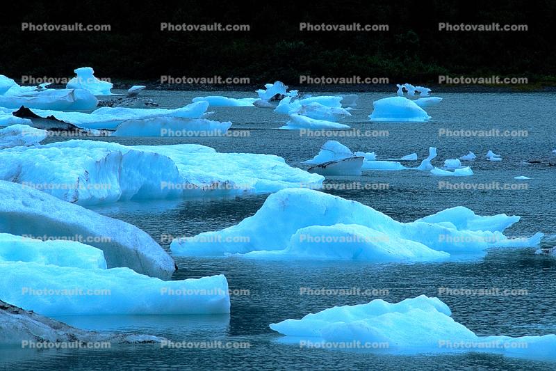 Glacial Lake, Icebergs, Portage Glacier, water