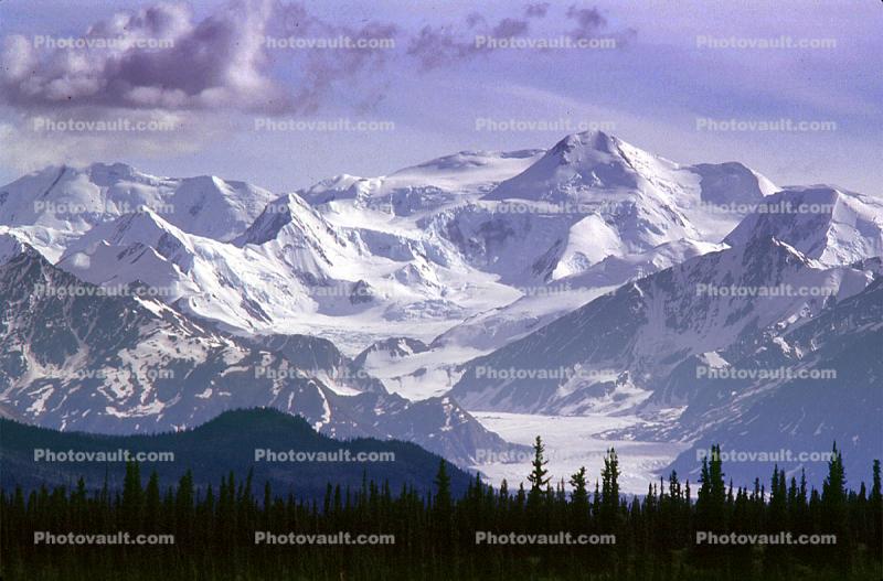 Glacier, Mountains, forest