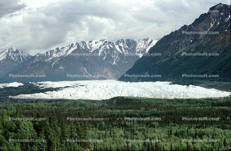 Glacier, Mountains, forest