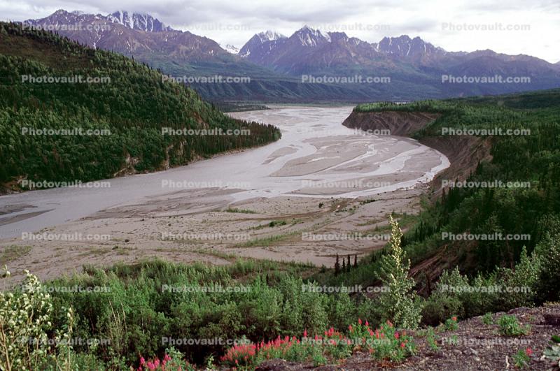 Mudflats, River, Mountains, forest