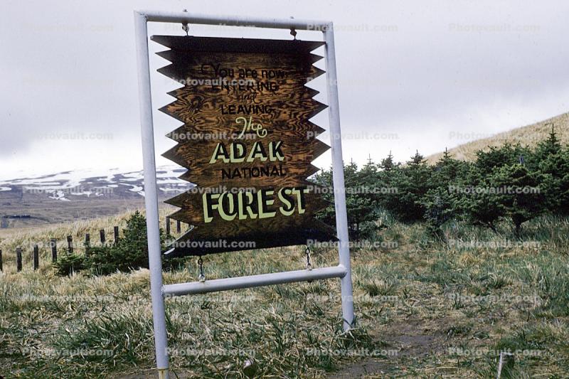 The Adak Forest