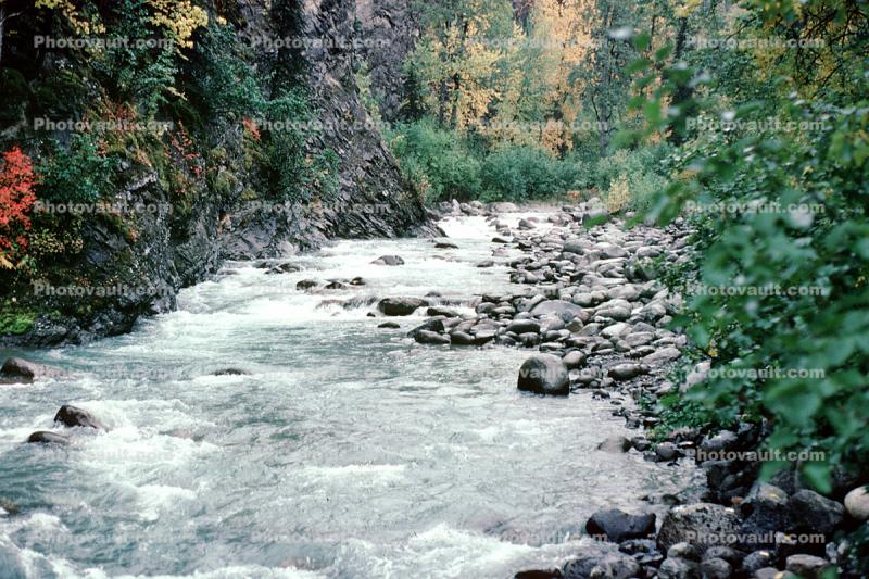 River, trees, rocks, boulders