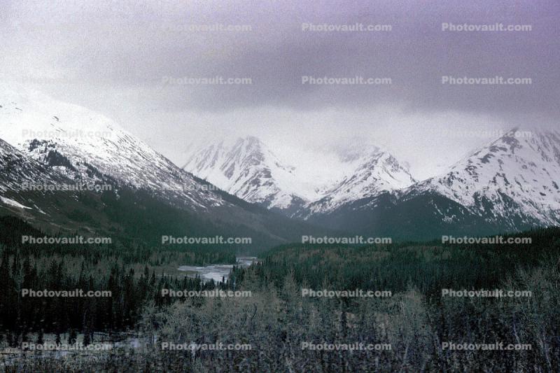 Forest, River, Railroad to Seward, Mountains