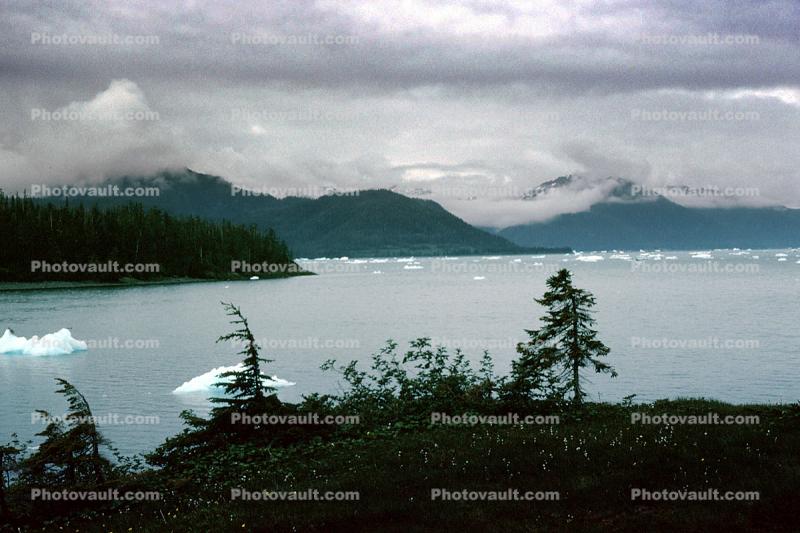 view from Growler Island, Icebergs, Valdez, Coast, Coastline