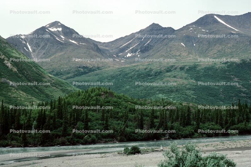 Nenana River, Forest, Trees, Mountains
