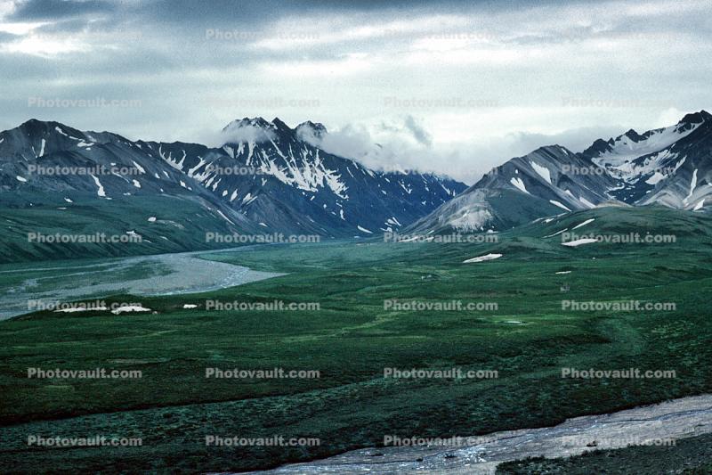 River Valley, Fields, Mountains, Denali National Park