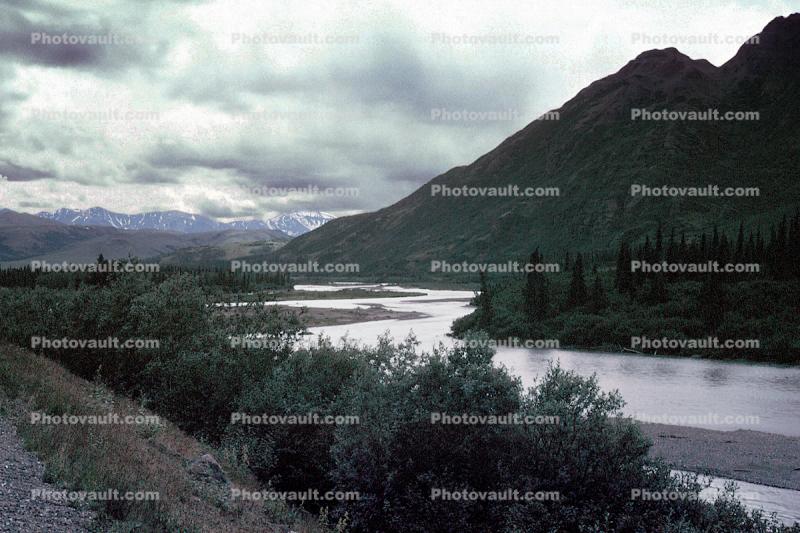 Nenana River, mountains, trees