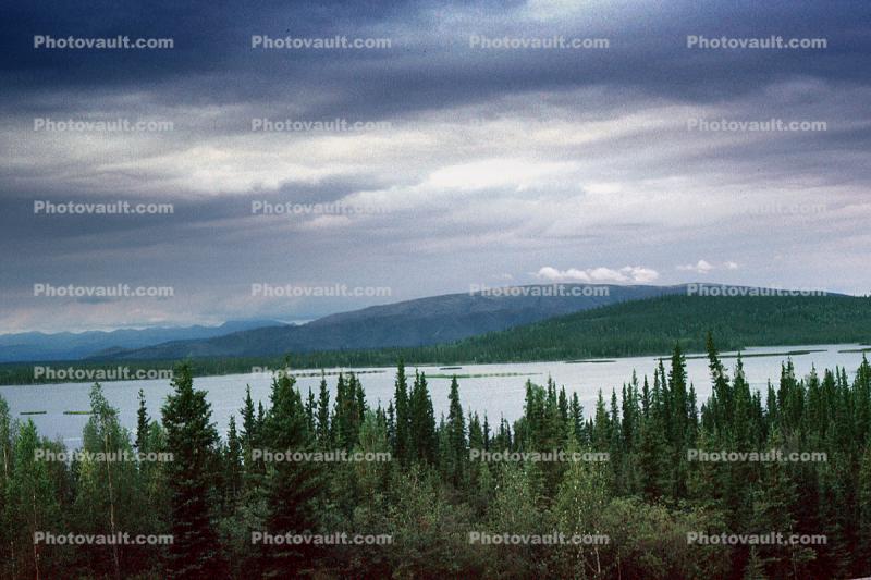 Mountains, Midway Lake, water, trees, forest
