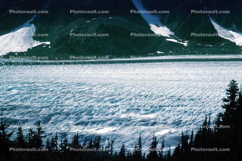 Salmon Glacier, Moraine, Crevass