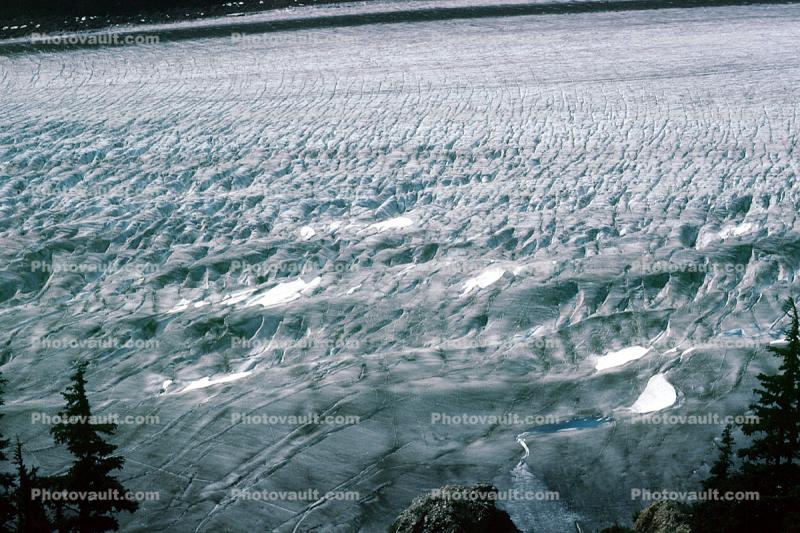 Salmon Glacier, Moraine, Crevass