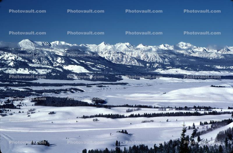 Valley, Forest, Snow, Ice, Mountain, Cold, Frozen, Winter