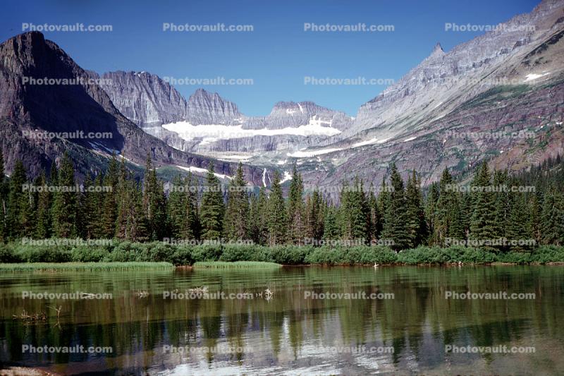 Lake, Reflections, Pine Trees, Glacier National Park, Mountain, water