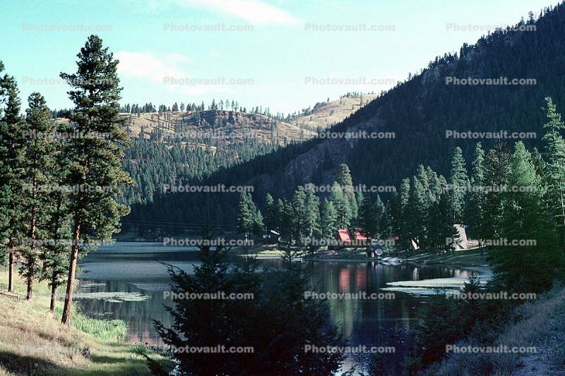 Salmon Lake, Trees, Valley, water