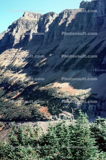 Logan Pass, Mountain, Cliffs, Trees, Glacier National Park