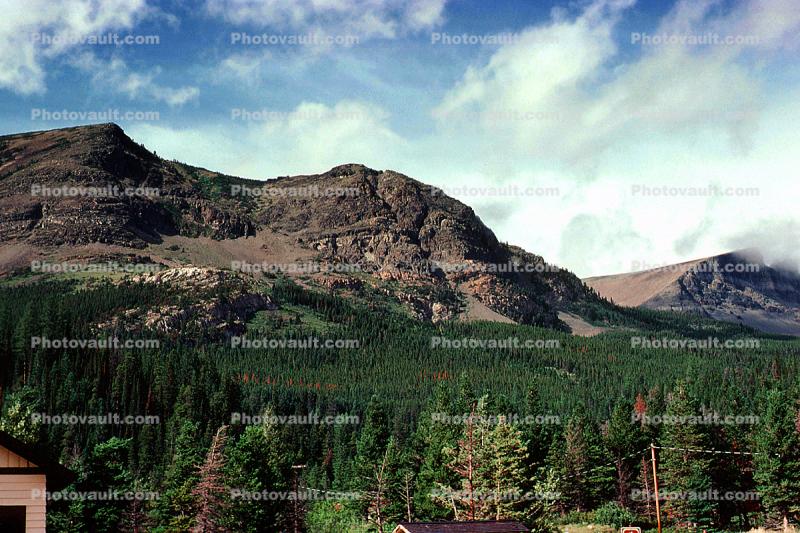 Mountain, Glacier National Park, forest, trees